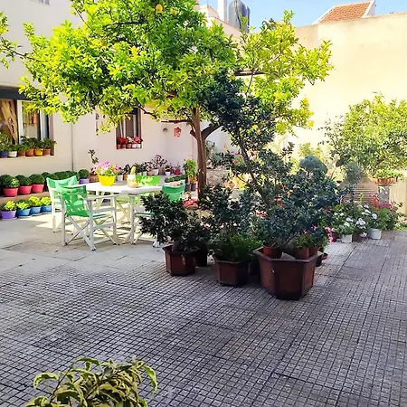 Dinas Alonissos - Nefeli Summer Haven Apartment Patitiri (Alonnisos)