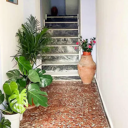 Lägenhet Dinas Alonissos - Nefeli Summer Haven Patitiri