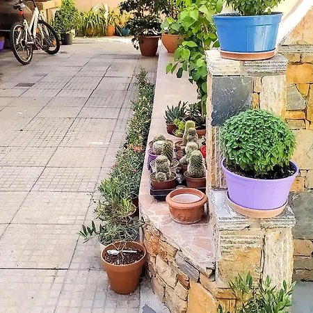 Dinas - Alonnisos Summer Haven Appartement *