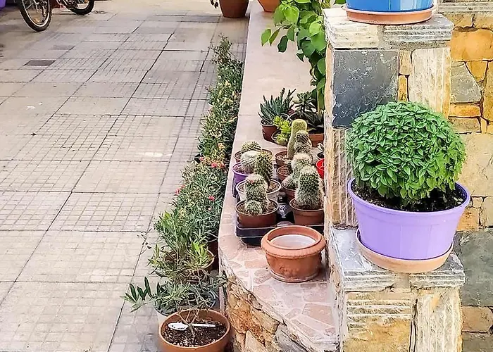 Dinas Alonissos - Nefeli Summer Haven Apartment *